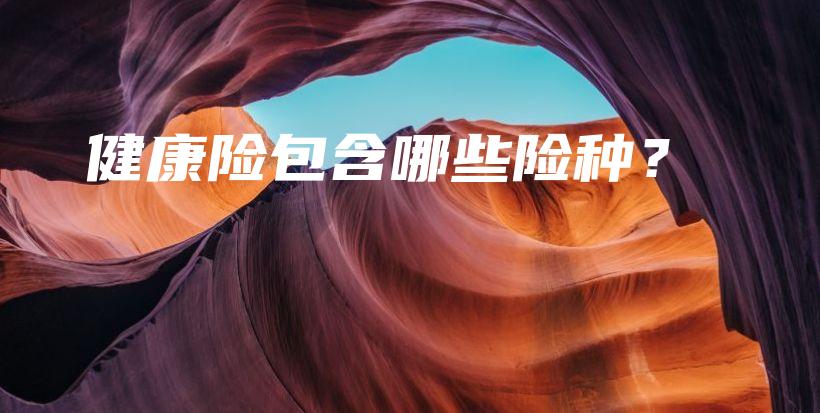 健康险包含哪些险种？-PLB