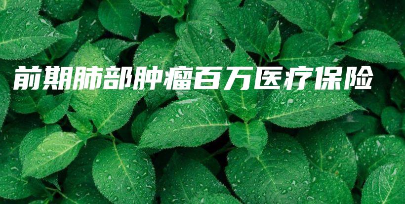 前期肺部肿瘤百万医疗保险-PLB