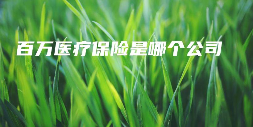 百万医疗保险是哪个公司-PLB