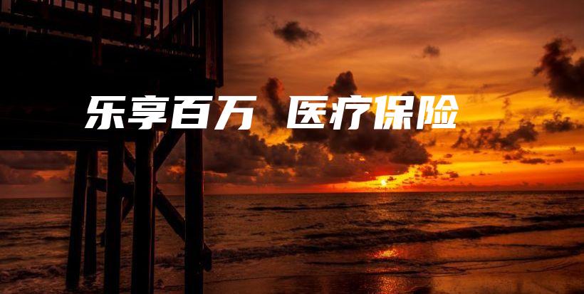 乐享百万 医疗保险-PLB
