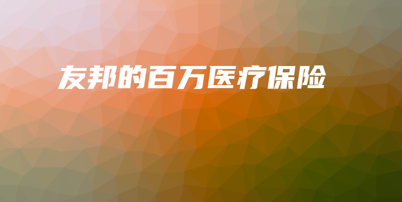 友邦的百万医疗保险-PLB
