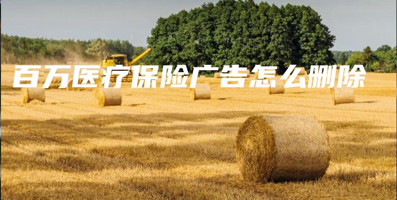 百万医疗保险广告怎么删除-PLB