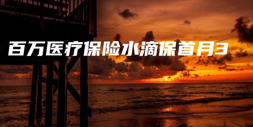 百万医疗保险水滴保首月3-PLB