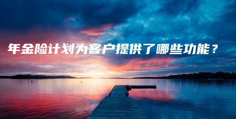 年金险计划为客户提供了哪些功能？-PLB