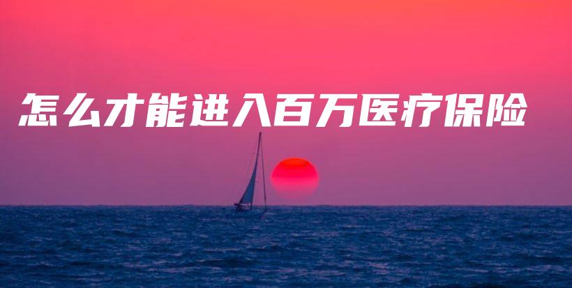 怎么才能进入百万医疗保险-PLB