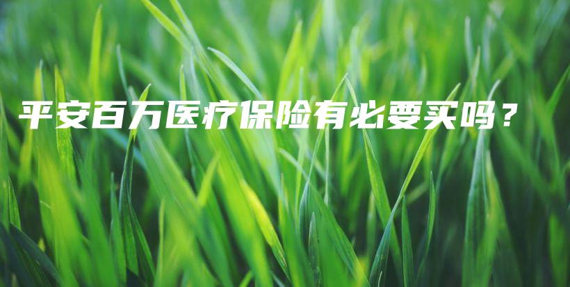平安百万医疗保险有必要买吗？-PLB