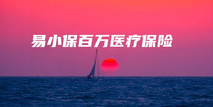 易小保百万医疗保险-PLB