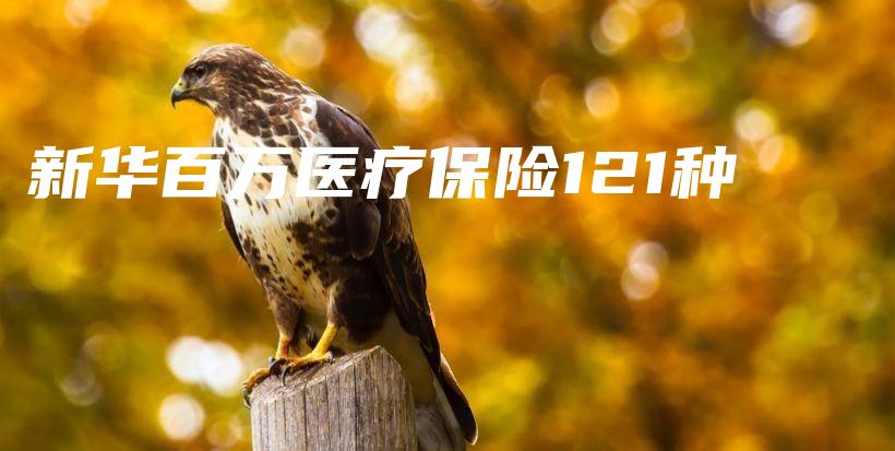 新华百万医疗保险121种-PLB