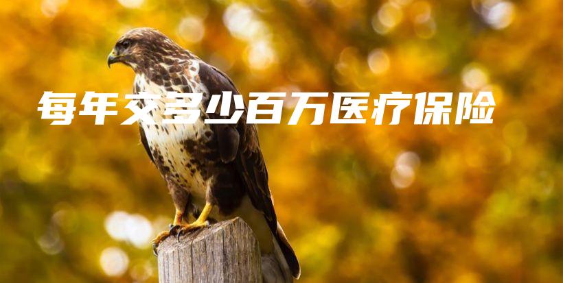 每年交多少百万医疗保险-PLB