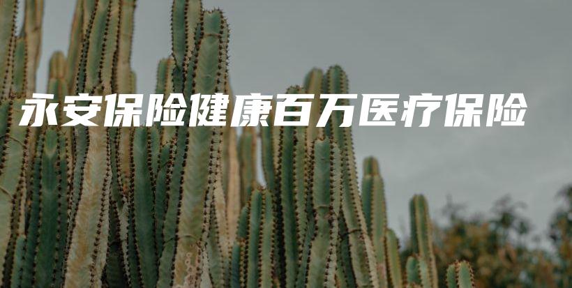 永安保险健康百万医疗保险-PLB