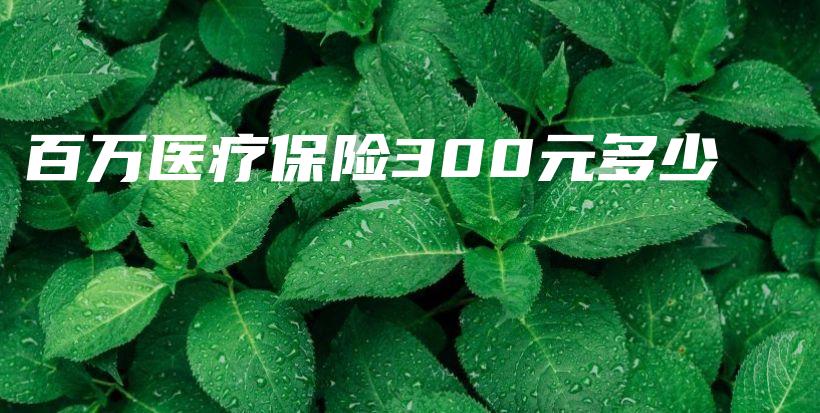 百万医疗保险300元多少-PLB