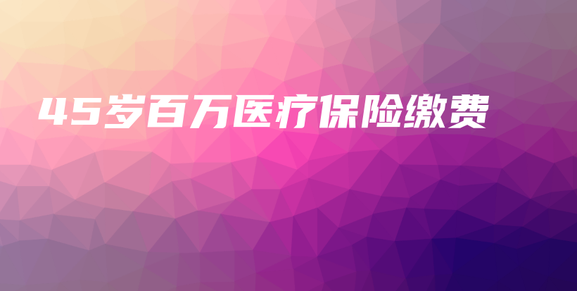 45岁百万医疗保险缴费-PLB