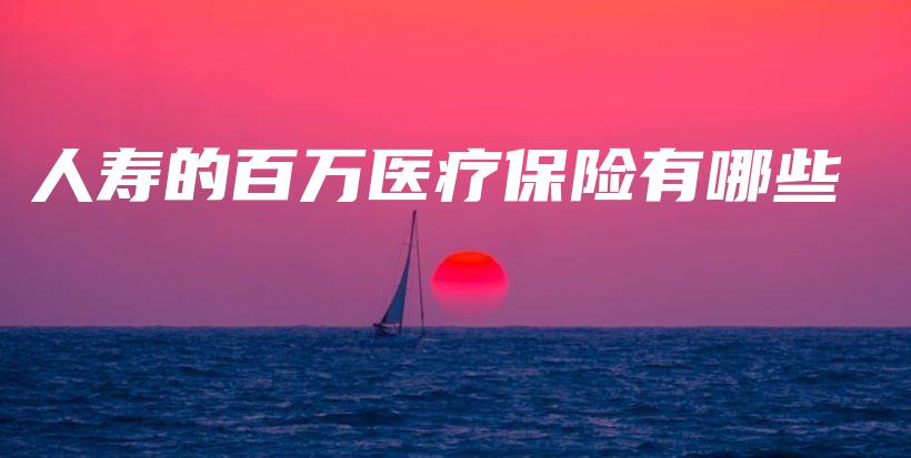 人寿的百万医疗保险有哪些-PLB