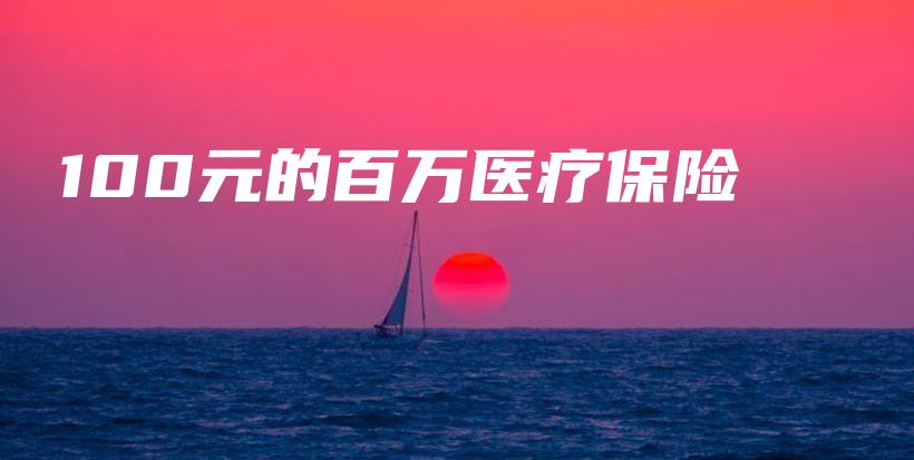 100元的百万医疗保险-PLB