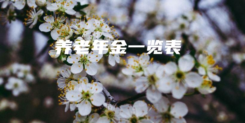 养老年金一览表-PLB