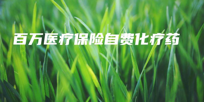 百万医疗保险自费化疗药-PLB
