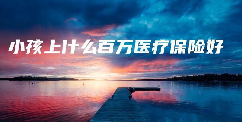 小孩上什么百万医疗保险好-PLB