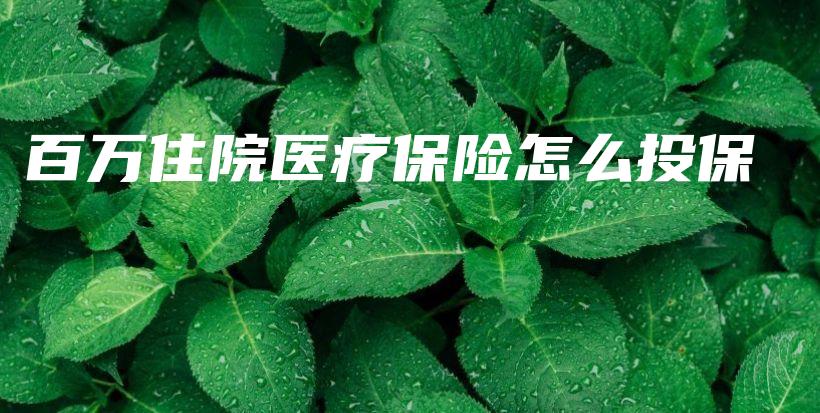 百万住院医疗保险怎么投保-PLB