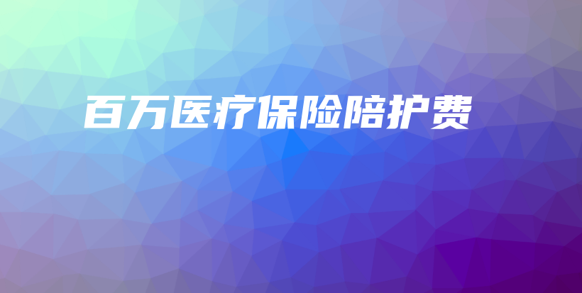 百万医疗保险陪护费-PLB