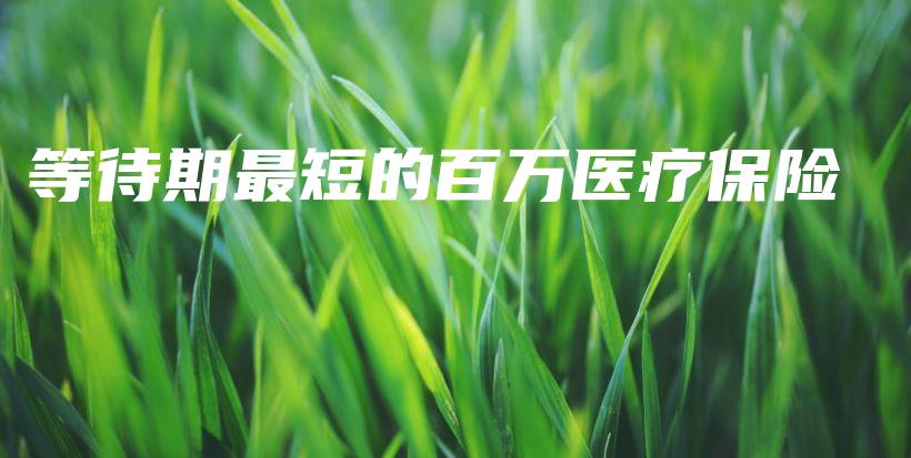 等待期最短的百万医疗保险-PLB