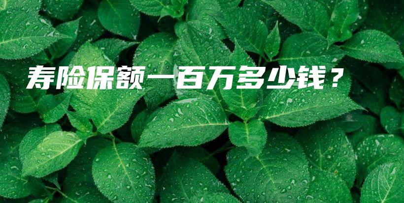 寿险保额一百万多少钱？-PLB