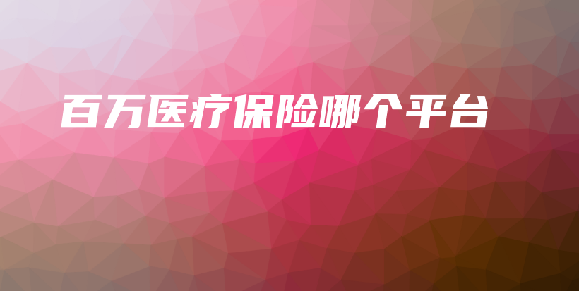 百万医疗保险哪个平台-PLB