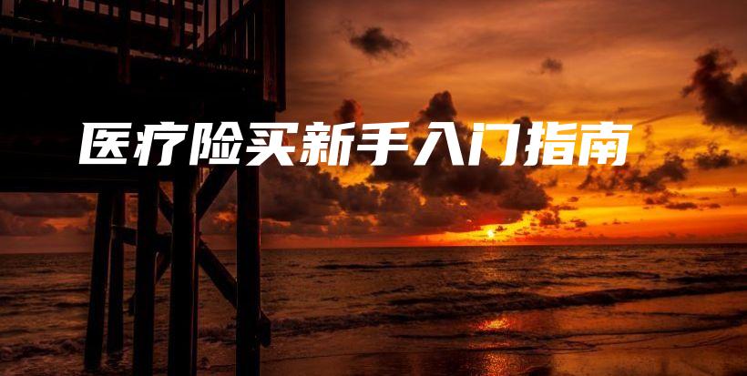 医疗险买新手入门指南-PLB