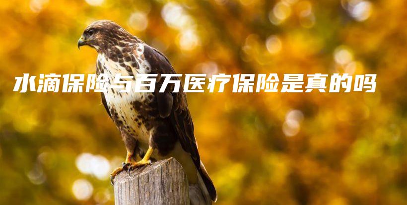 水滴保险与百万医疗保险是真的吗-PLB