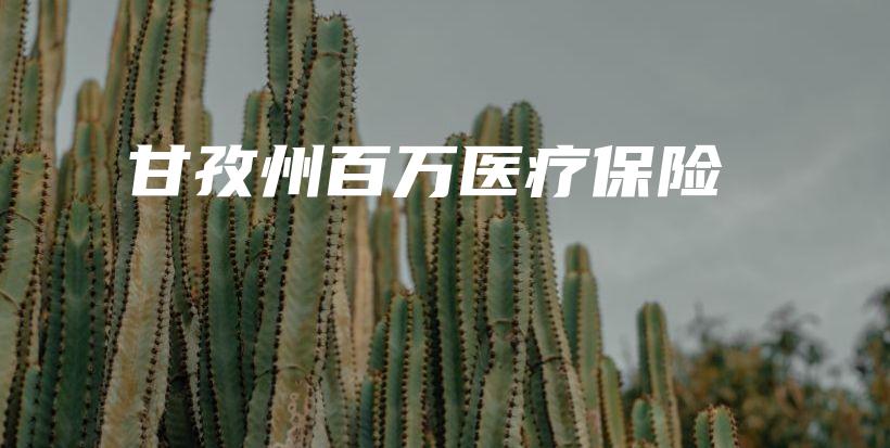 甘孜州百万医疗保险-PLB