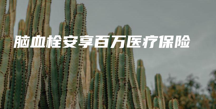 脑血栓安享百万医疗保险-PLB