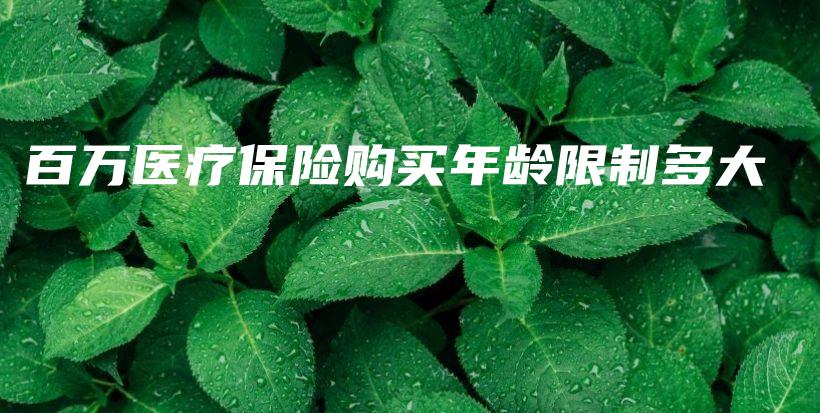 百万医疗保险购买年龄限制多大-PLB