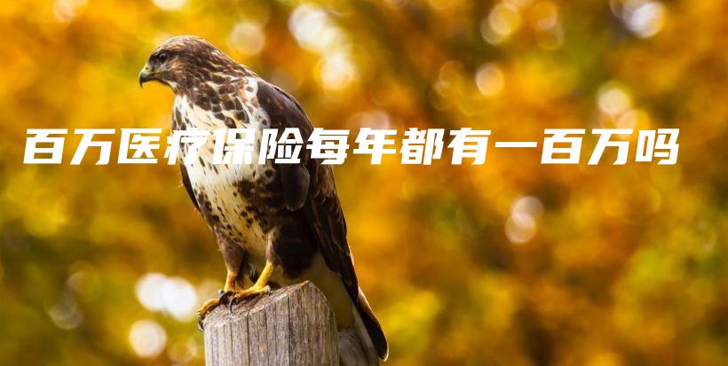 百万医疗保险每年都有一百万吗-PLB