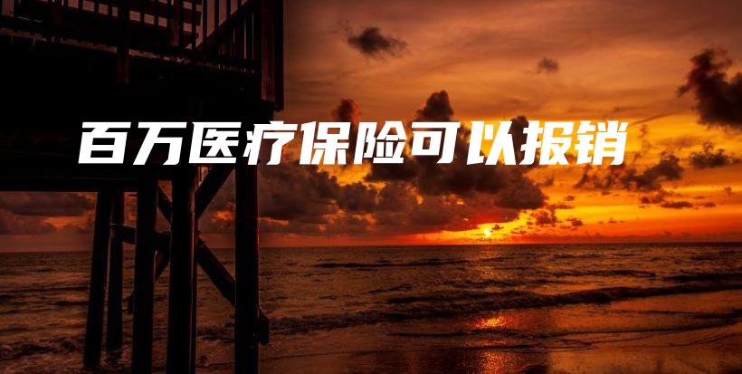 百万医疗保险可以报销-PLB