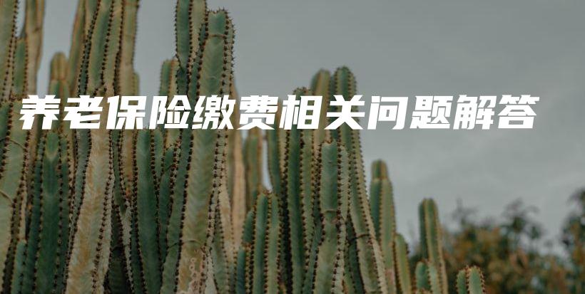 养老保险缴费相关问题解答-PLB