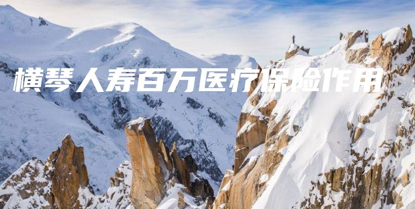 横琴人寿百万医疗保险作用-PLB