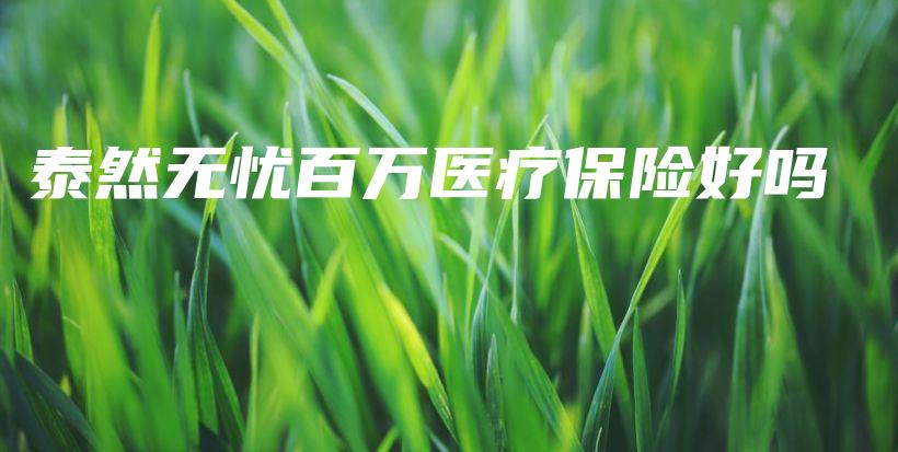泰然无忧百万医疗保险好吗-PLB