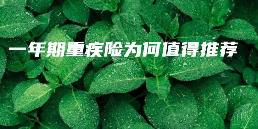一年期重疾险为何值得推荐-PLB