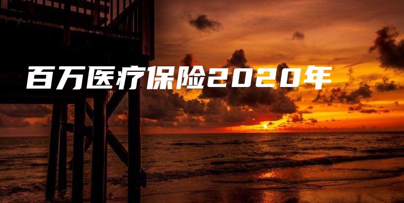 百万医疗保险2020年-PLB