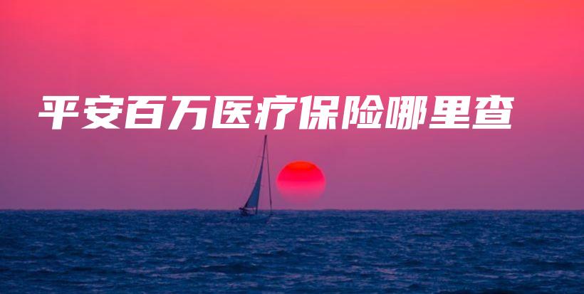 平安百万医疗保险哪里查-PLB