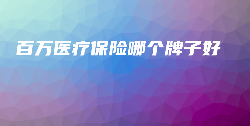 百万医疗保险哪个牌子好-PLB