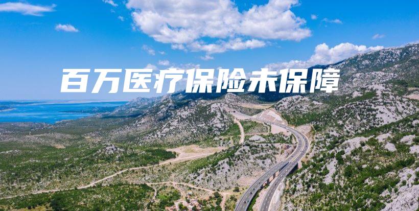 百万医疗保险未保障-PLB
