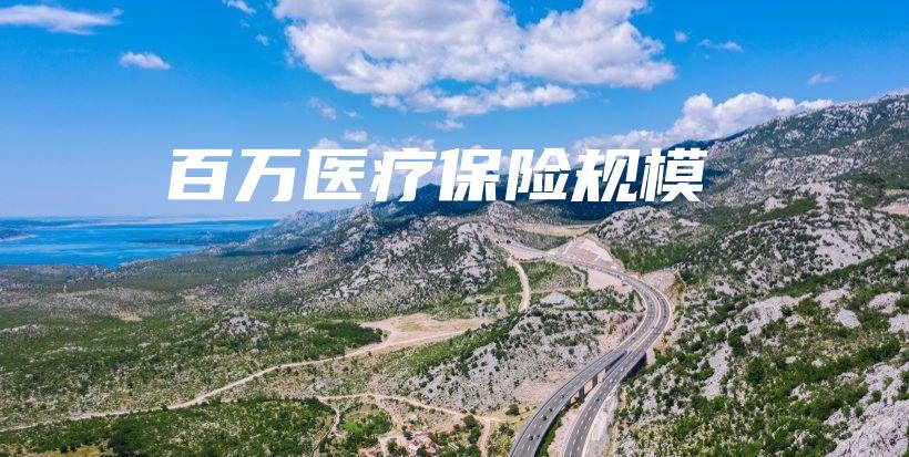 百万医疗保险规模-PLB
