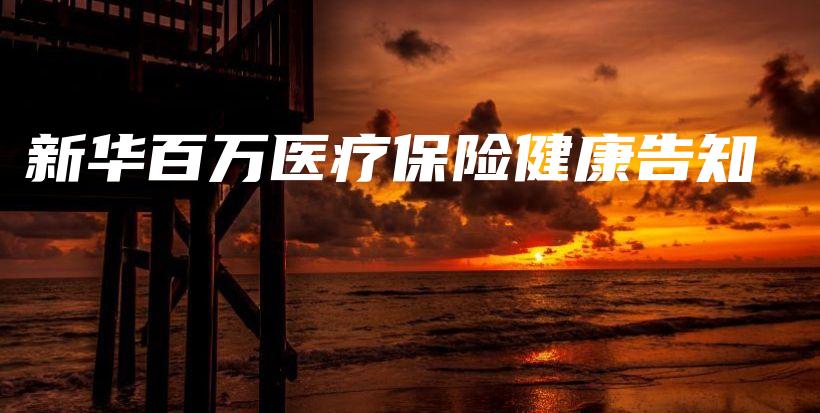 新华百万医疗保险健康告知-PLB