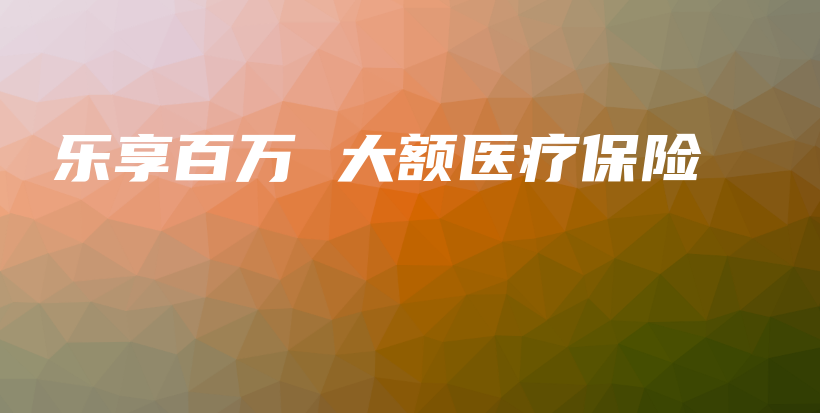乐享百万 大额医疗保险-PLB