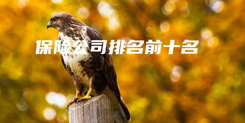 保险公司排名前十名-PLB