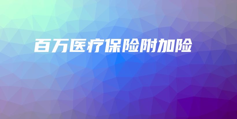 百万医疗保险附加险-PLB