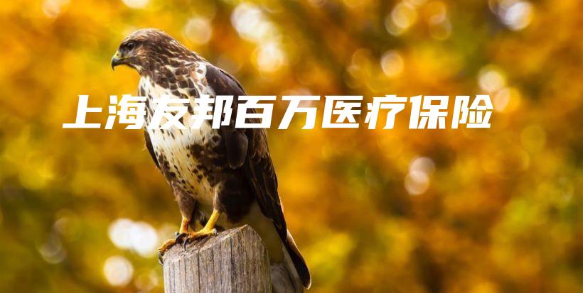 上海友邦百万医疗保险-PLB