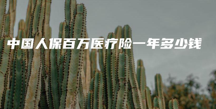 中国人保百万医疗险一年多少钱-PLB