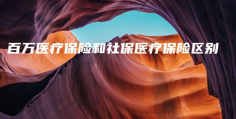百万医疗保险和社保医疗保险区别-PLB