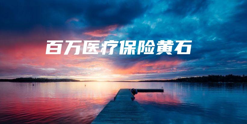 百万医疗保险黄石-PLB
